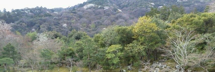 shakemeup1126's profile banner image