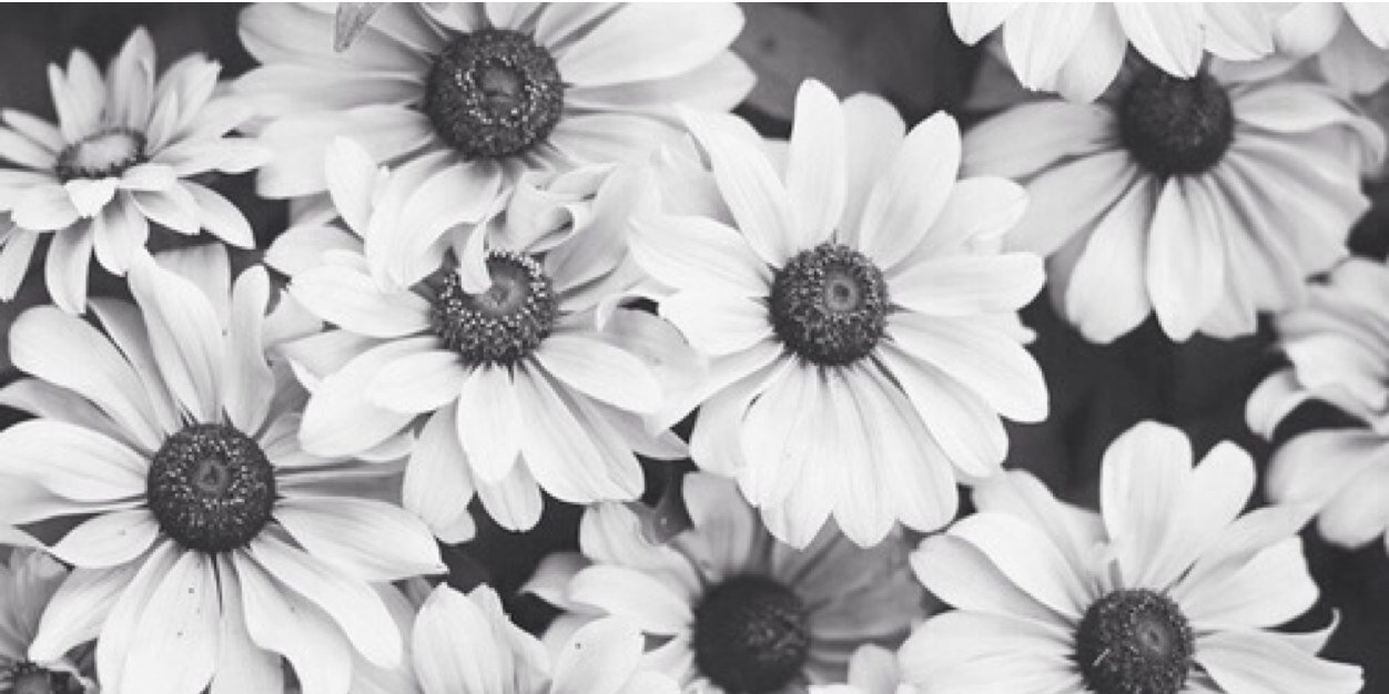 _MINNIEX's profile banner image