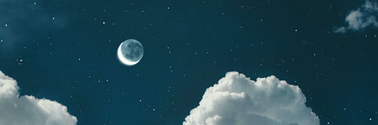 papaitanx's profile banner image