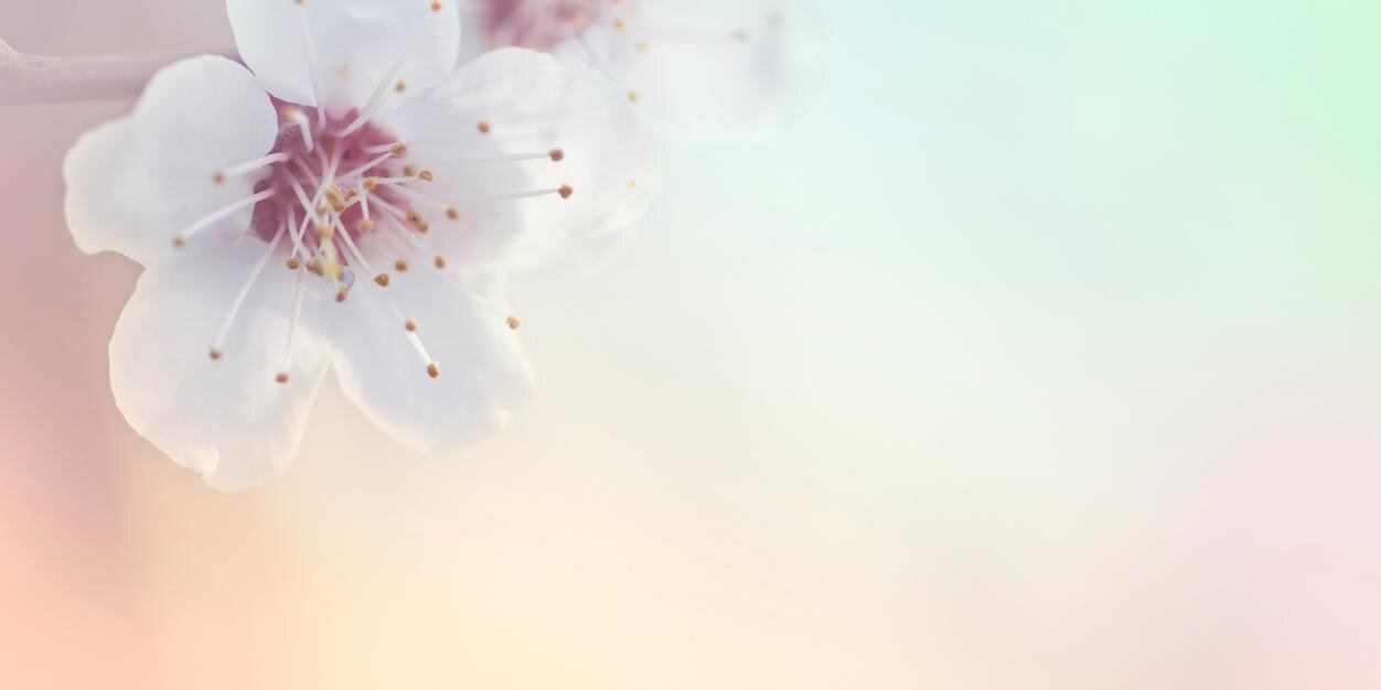 ArkopharmaBE's profile banner image