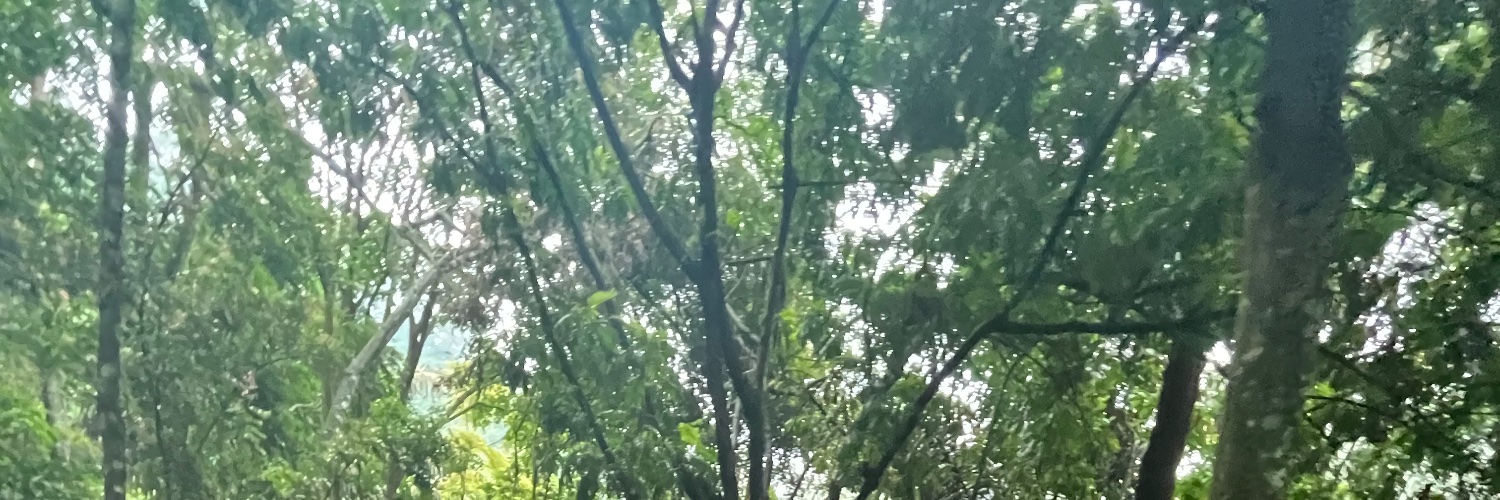 Zoeypep5's profile banner image