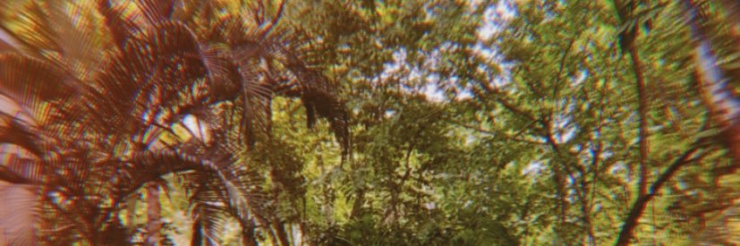 Marisolgebe2's profile banner image