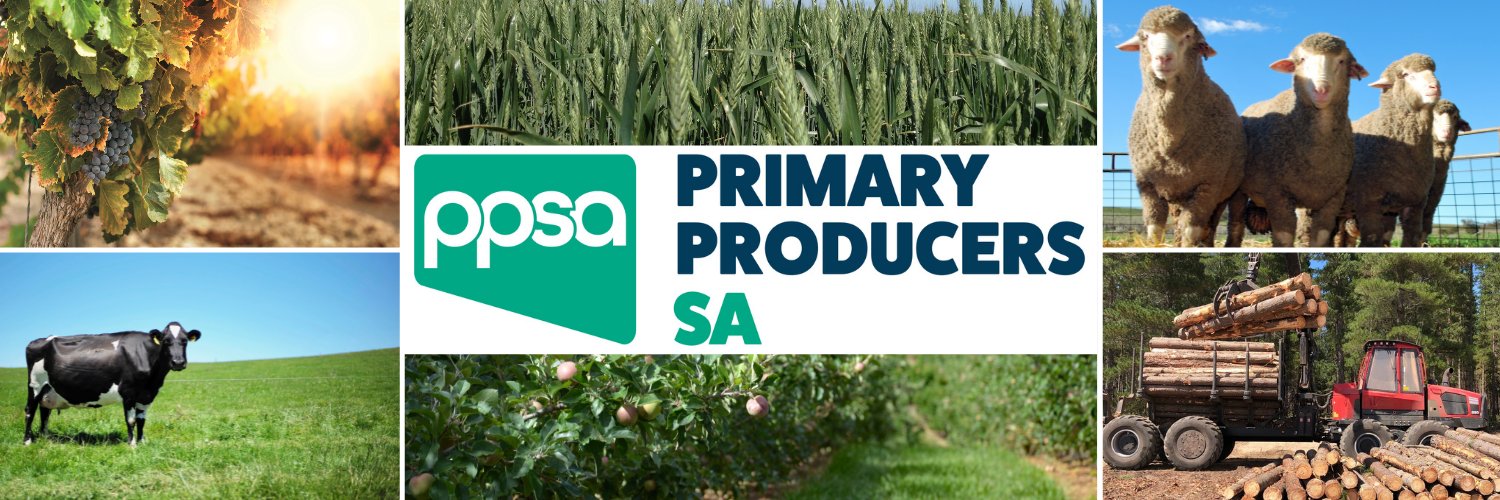 Primary Producers SA banner