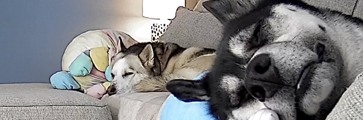 chrisreda's profile banner image