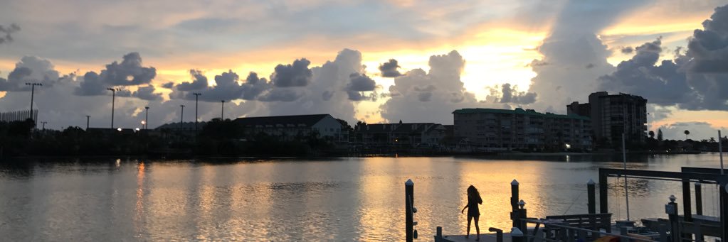 nikiladue's profile banner image