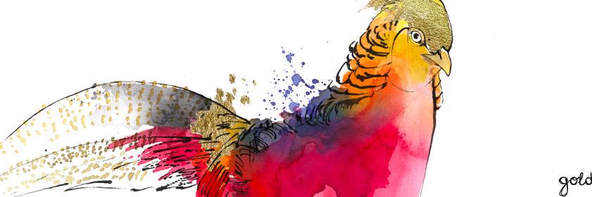 GoldfasanB's profile banner image