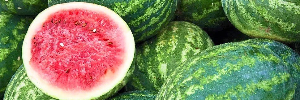 #StopTheGenocide banner