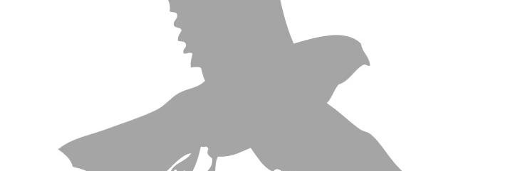 emcuview's profile banner image