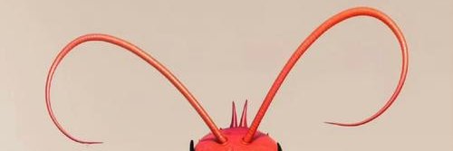MikehlJohnson's profile banner image