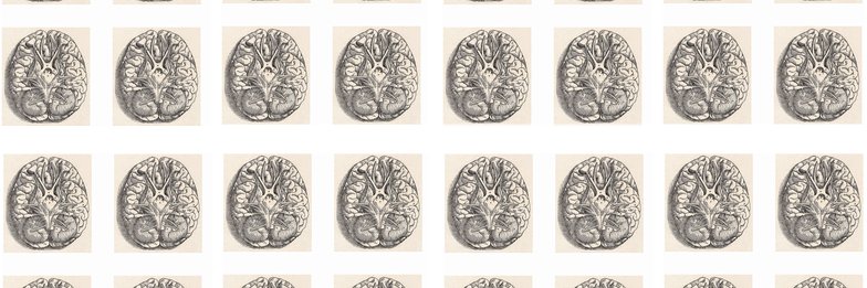 Neuro101's profile banner image