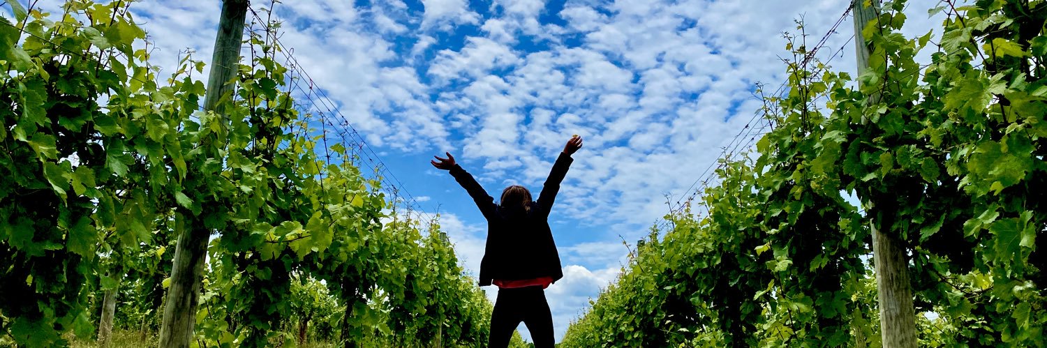 📸VineyardWarrior📸 banner