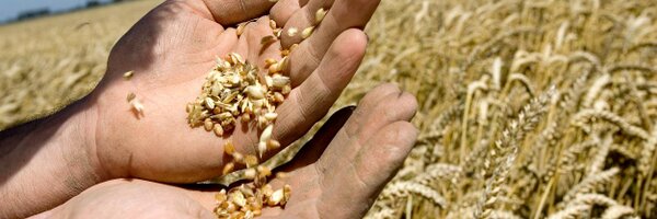 CropVision Profile Banner