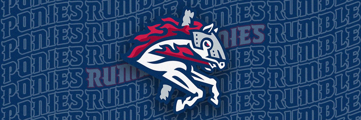Binghamton Rumble Ponies's banner
