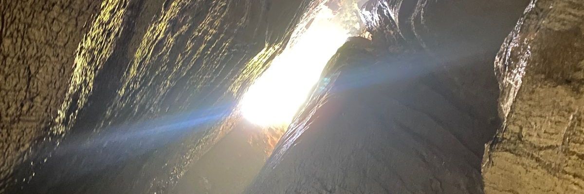 Vvera94's profile banner image