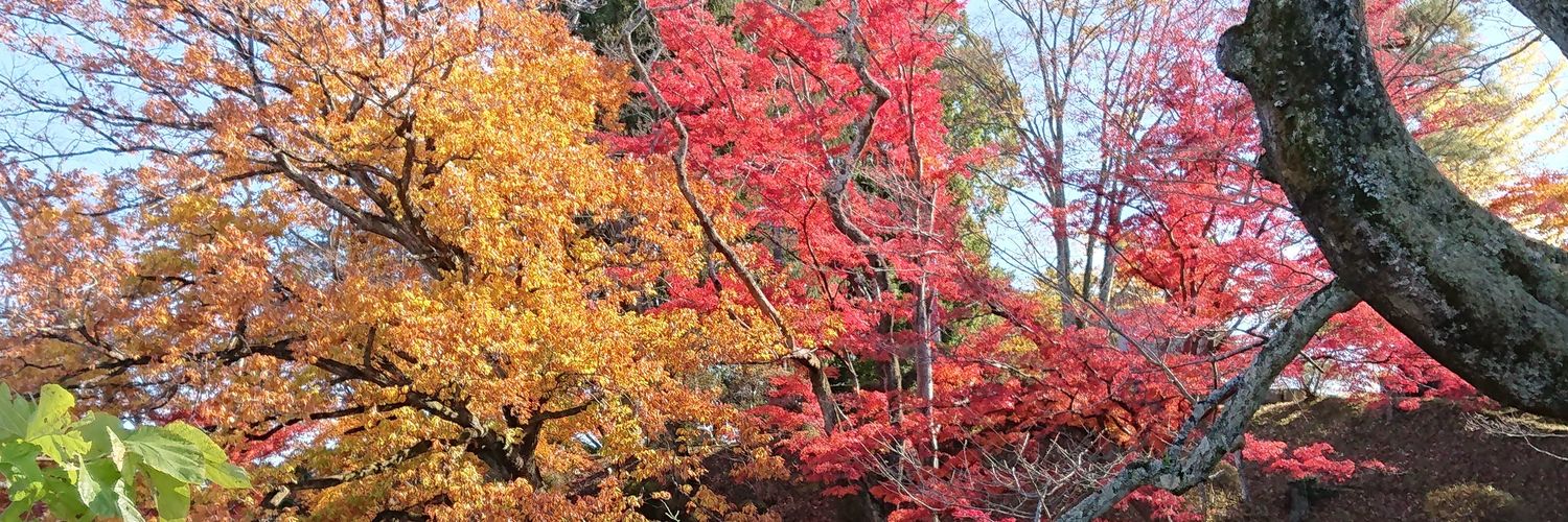 ふじゆう＠“幻影”の勝ちデース！ banner