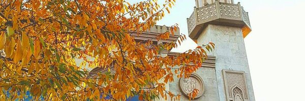 HuzFuz Profile Banner