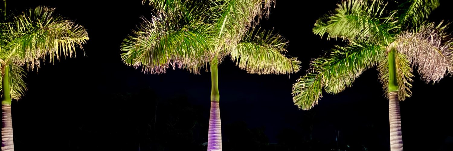 _offill's profile banner image