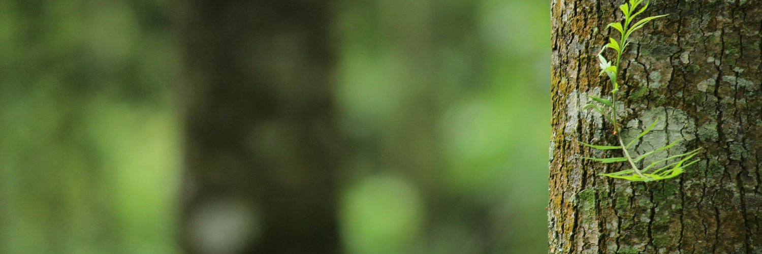 DanaaGerber's profile banner image