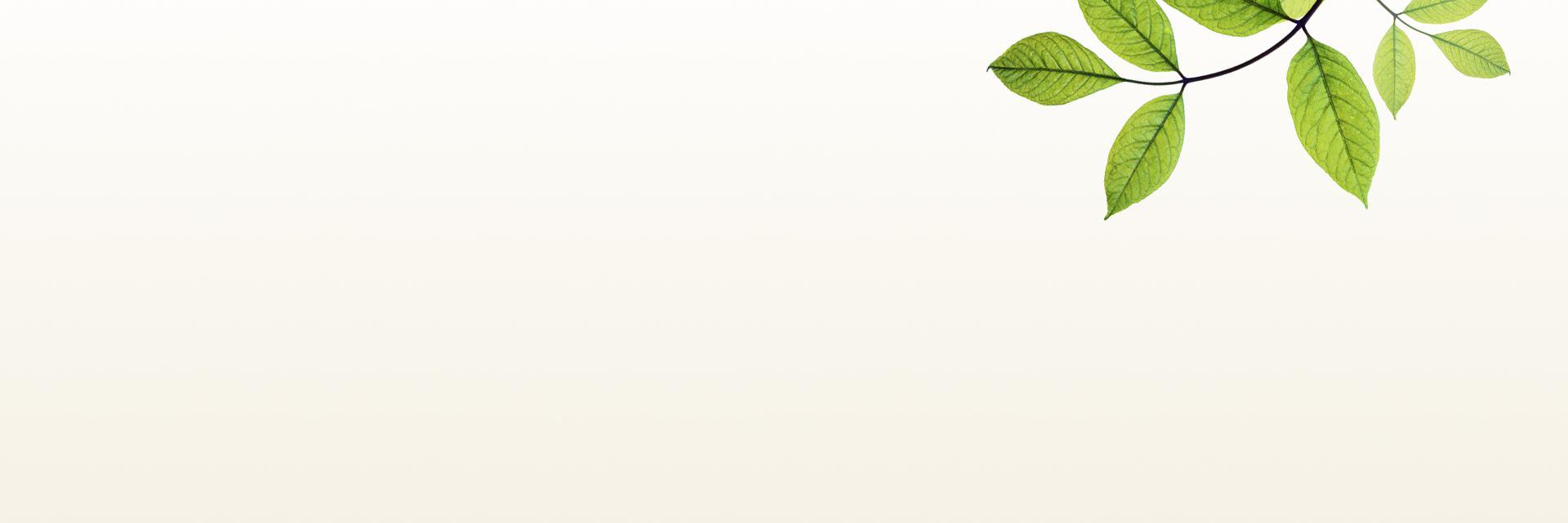 NatcoreSolar's profile banner image