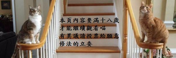 海軍貓貓 🐈 banner