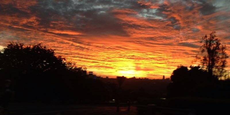 Odelle (Dee) Joubert banner