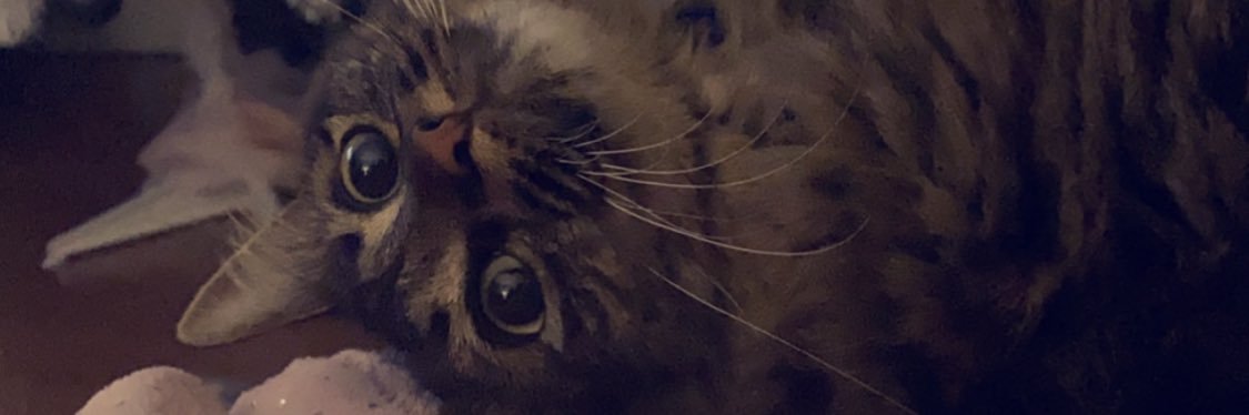 JillianRenaye's profile banner image