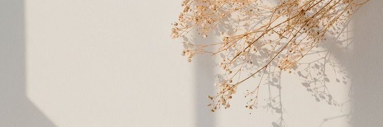 0113Nurco's profile banner image