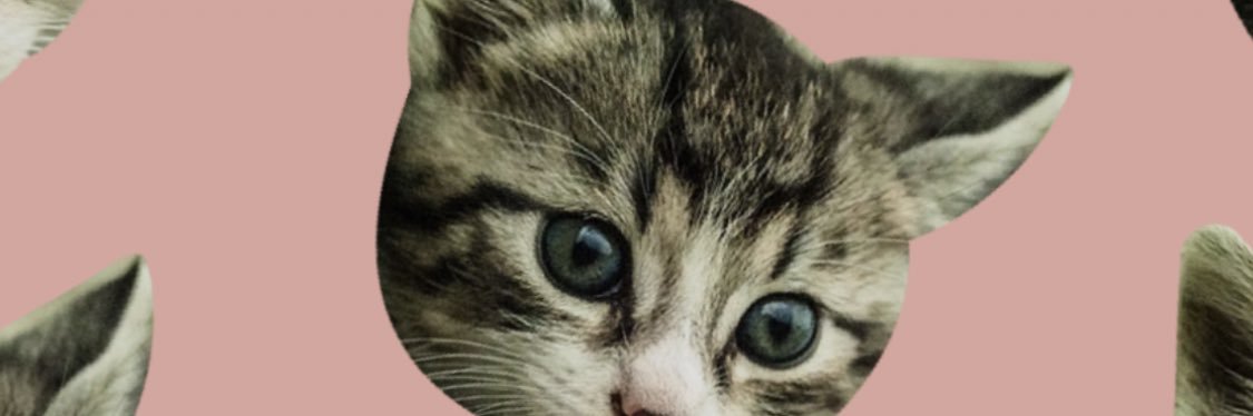 cooofly's profile banner image