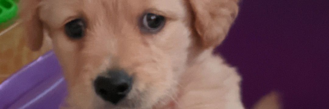 axelglez6's profile banner image