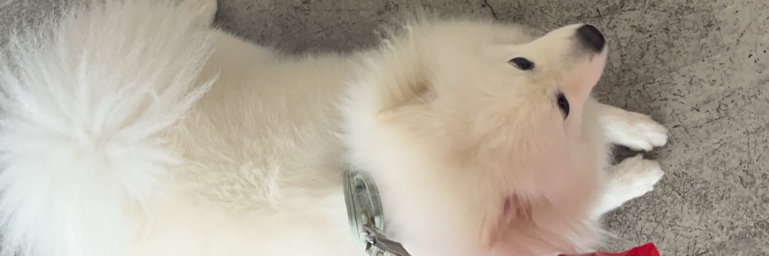 fan. banner