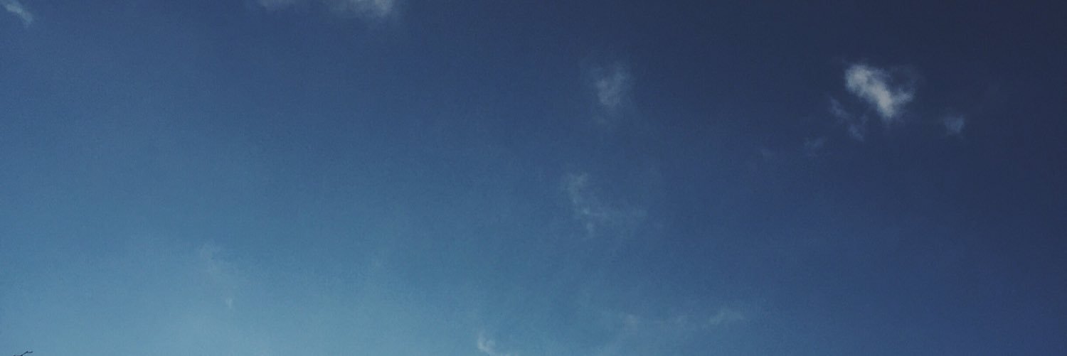 linhtamminen's profile banner image