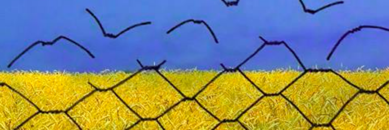 Sergoff7's profile banner image