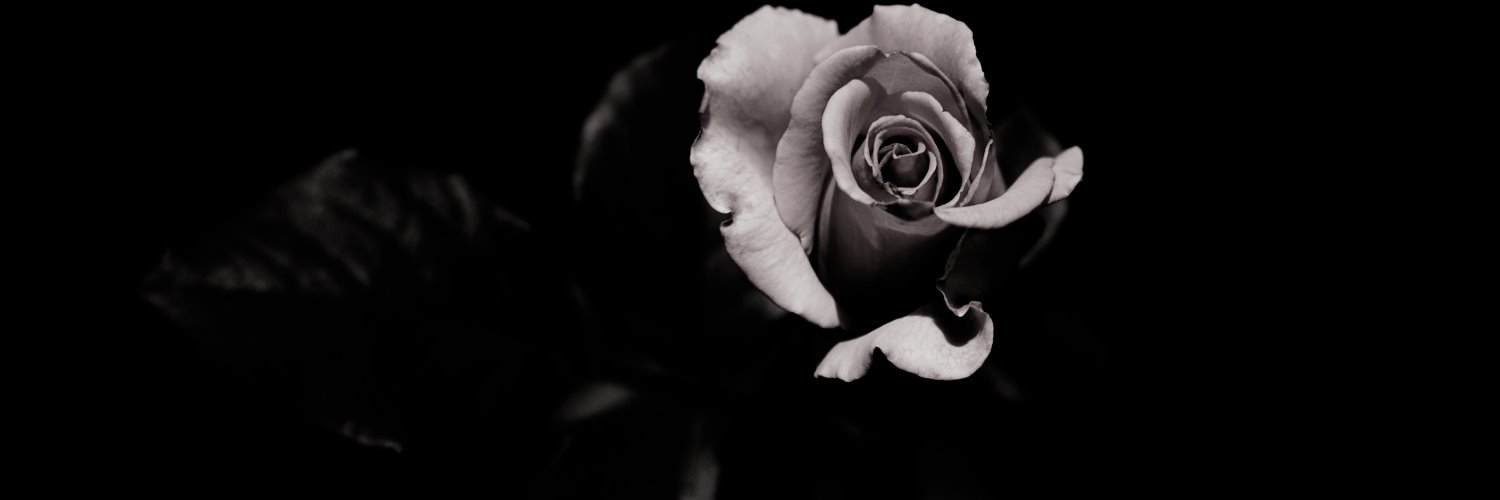 ShandyRusty's profile banner image
