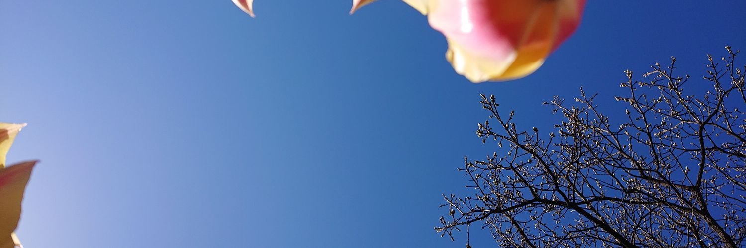 happakatta1's profile banner image