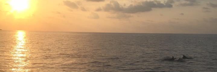 m88ta's profile banner image