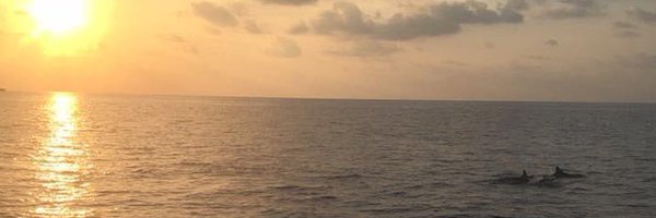 m88ta Profile Banner