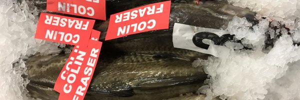 TopOfTheNorth Profile Banner