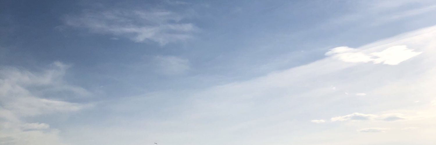 vthion's profile banner image