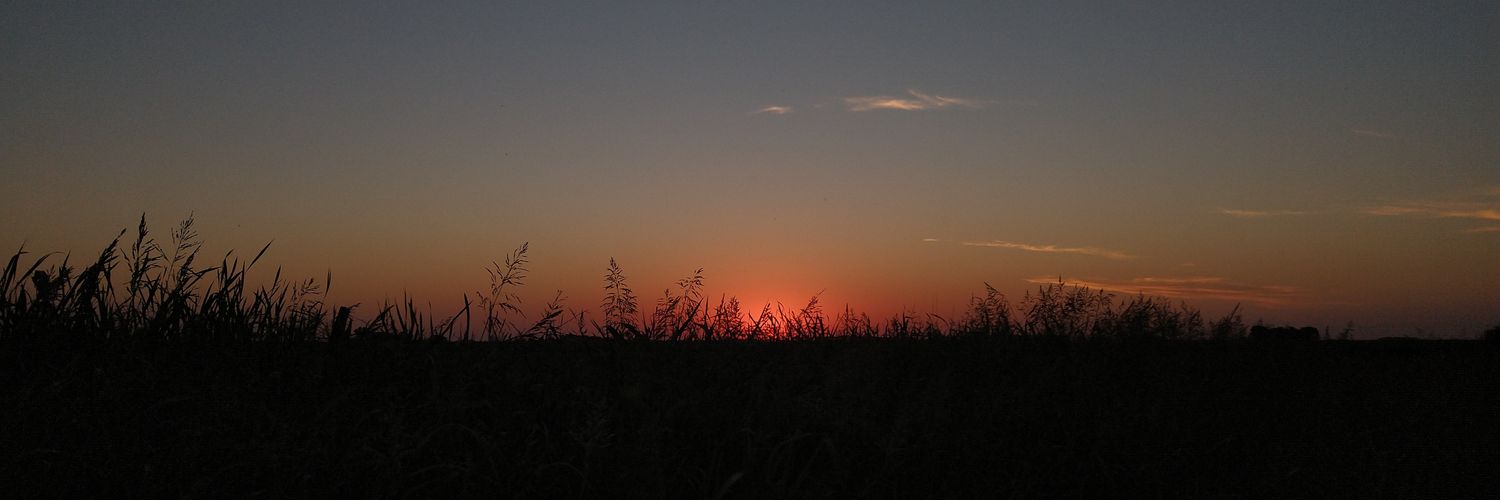 bonimilula's profile banner image