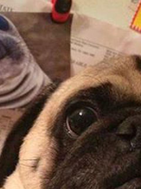 Suksawan69's profile banner image