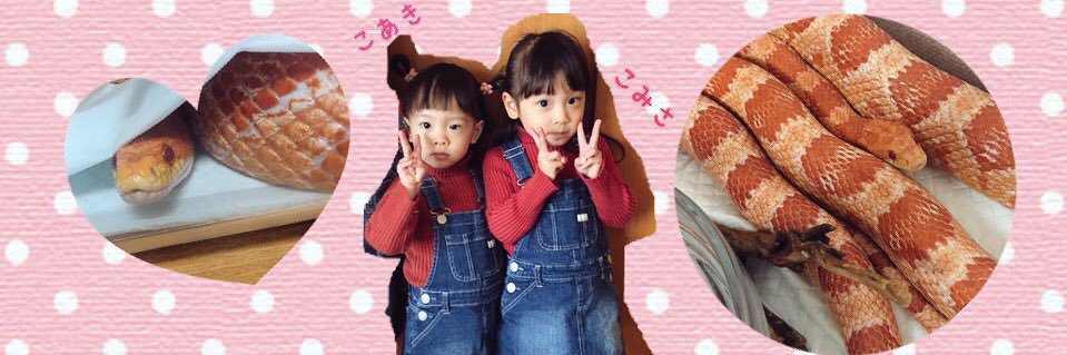 ms1120y's profile banner image