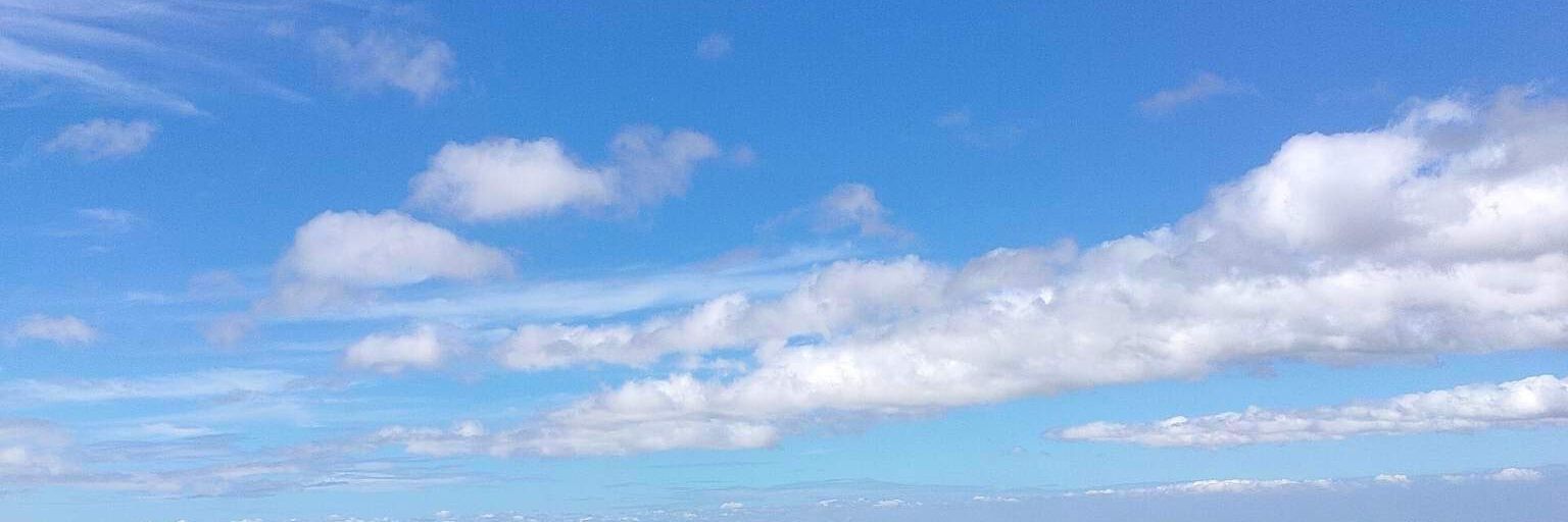 DStephaniehh's profile banner image
