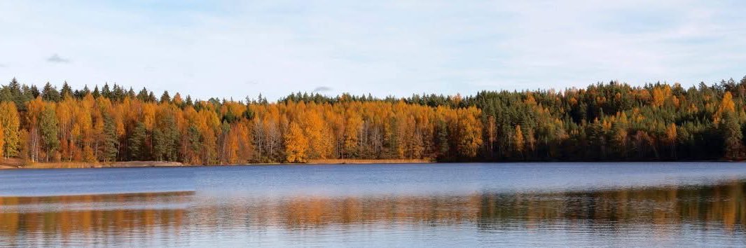 Timo Engström banner