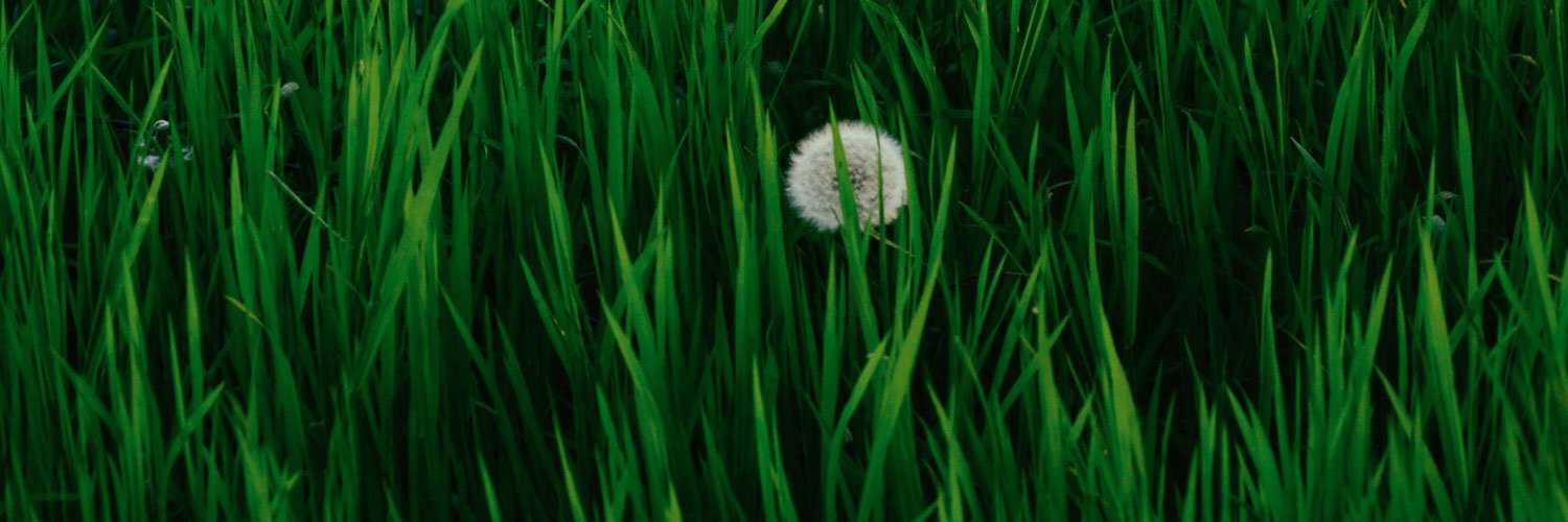 JulieBLK's profile banner image