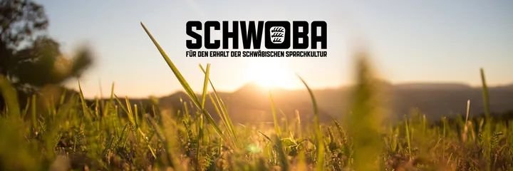 schwoba_de's profile banner image