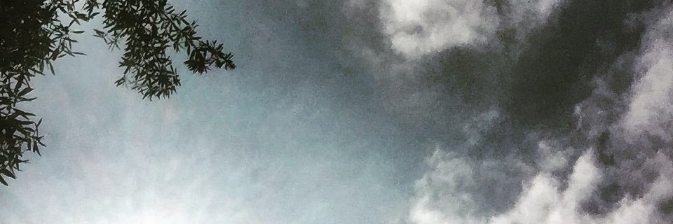 heatherjohnfog's profile banner image