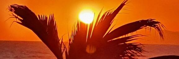 vivvin's profile banner image