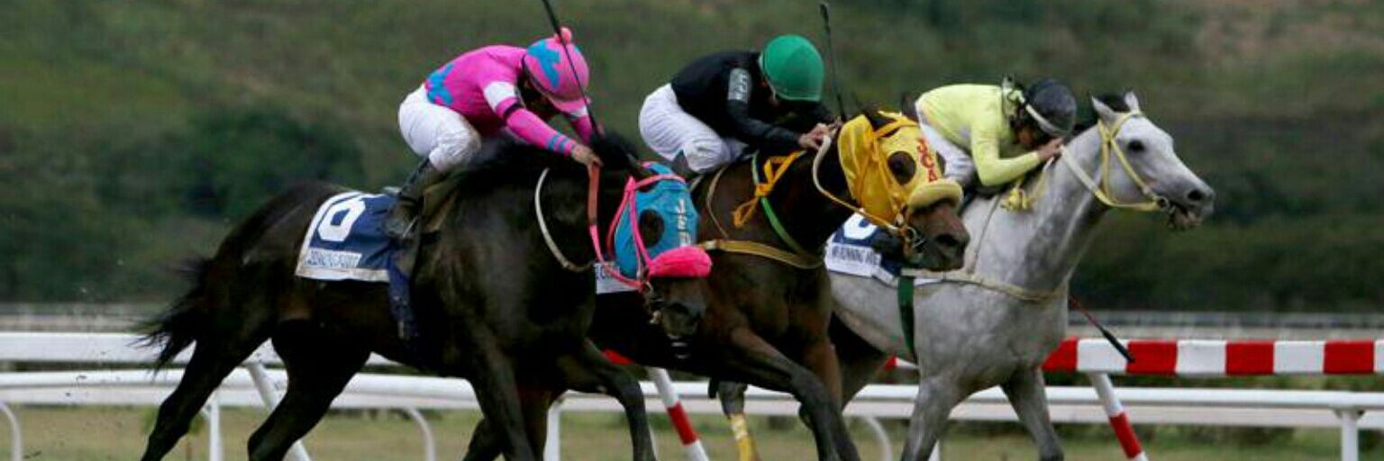 PREDICCION_DEP's profile banner image