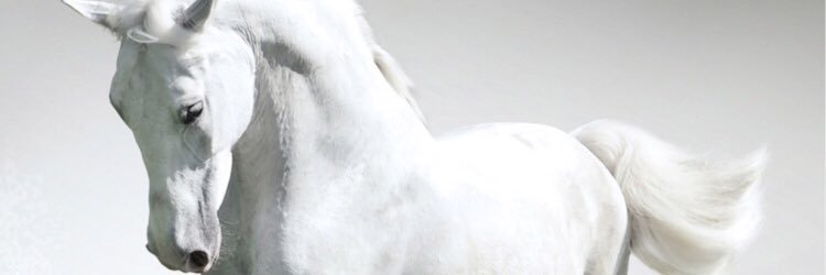 alhamdimssm1's profile banner image