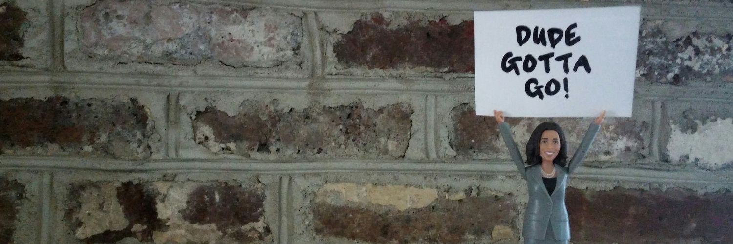 donnaskirts's profile banner image